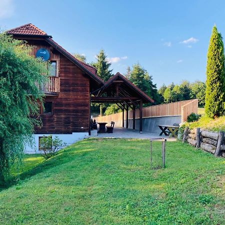 Family House Mozirje Exterior foto